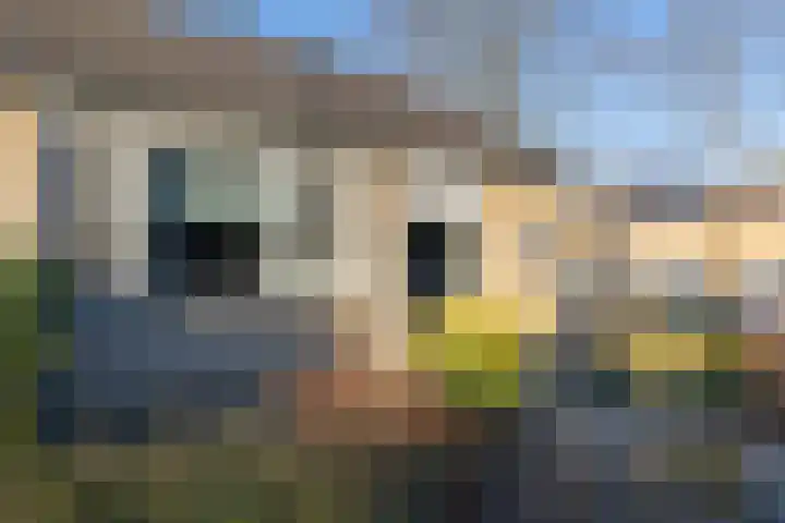 Kortenaerplein 19 Groenlo thumbnail 43