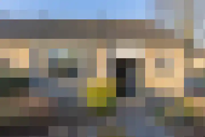 Kortenaerplein 19 Groenlo thumbnail 5