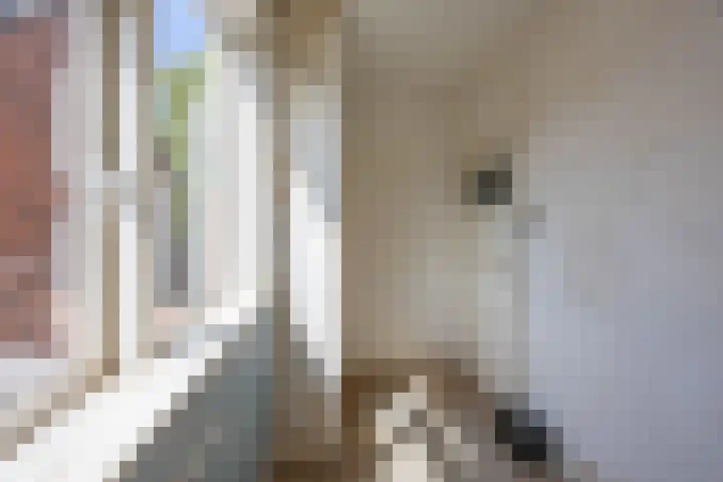 Kortenaerstraat 1 b Groningen thumbnail 16