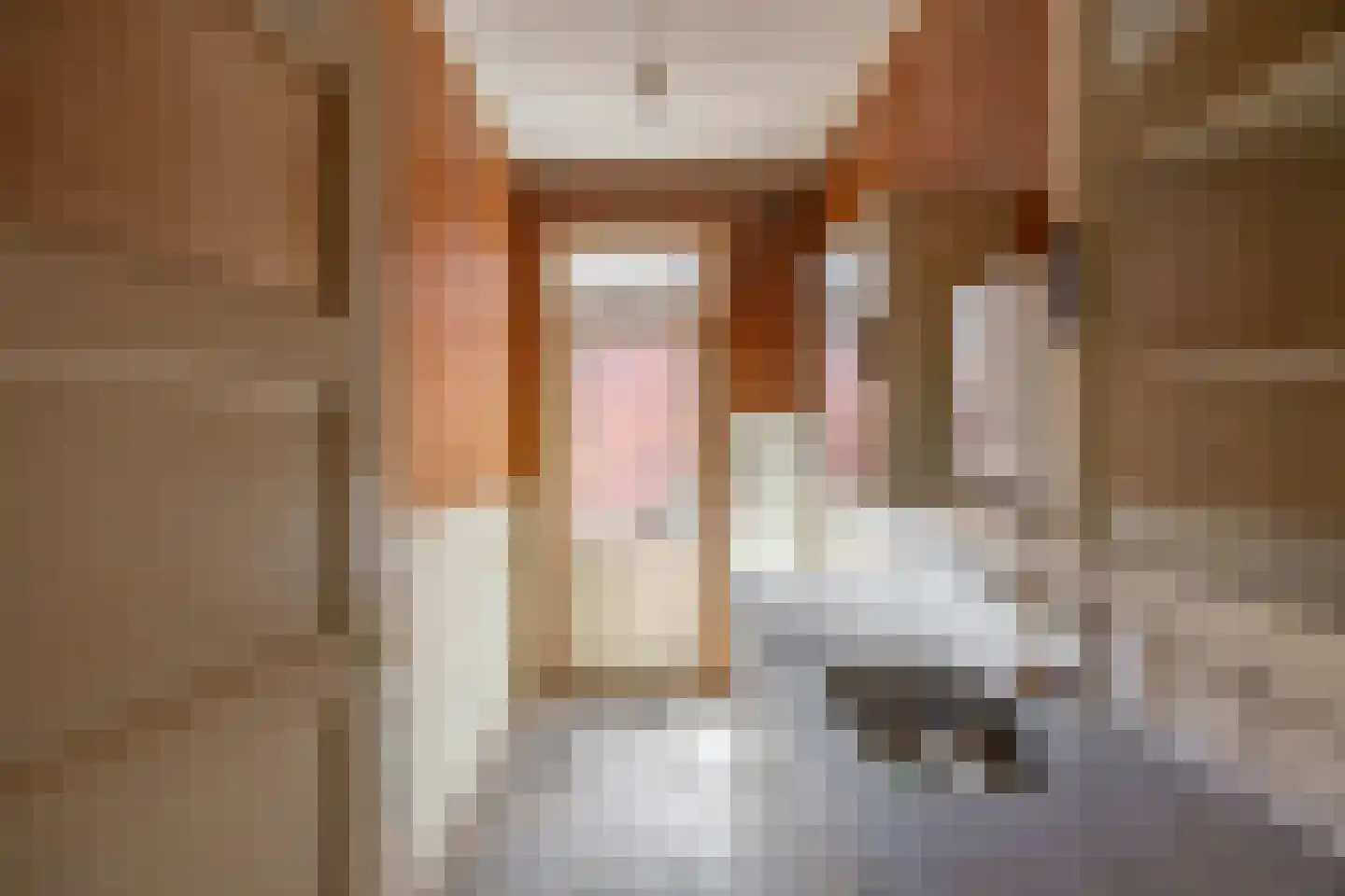 Kortenaerstraat 1 b Groningen thumbnail 6