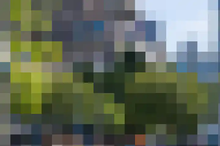 Kortenaerstraat 1 H Rotterdam thumbnail 25