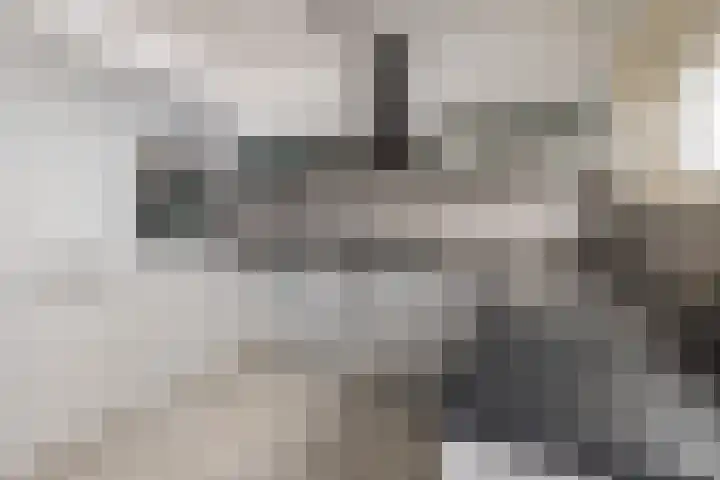 Kortenaerstraat 1 Rijnsburg thumbnail 12