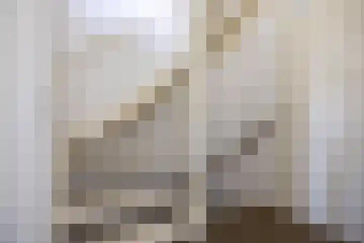 Kortenaerstraat 1 Rijnsburg thumbnail 23