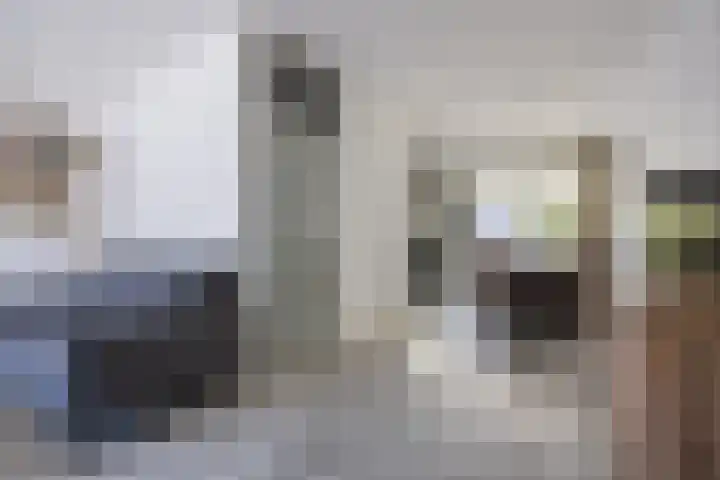 Kortenaerstraat 1 Rijnsburg thumbnail 7