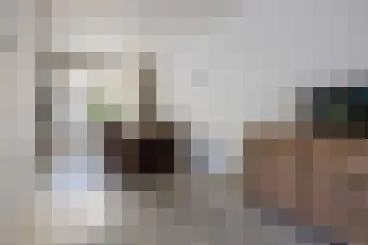 Kortenaerstraat 1 Rijnsburg thumbnail 8