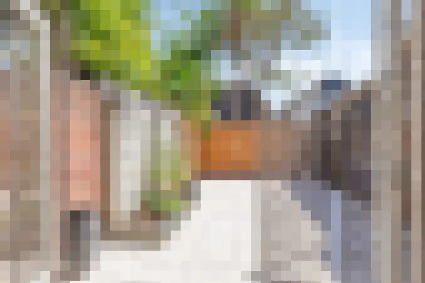 Kortenaerstraat 10 Hengelo thumbnail 9