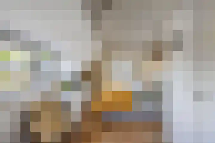 Kortenaerstraat 10 Huizen thumbnail 18