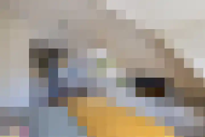 Kortenaerstraat 10 Huizen thumbnail 19