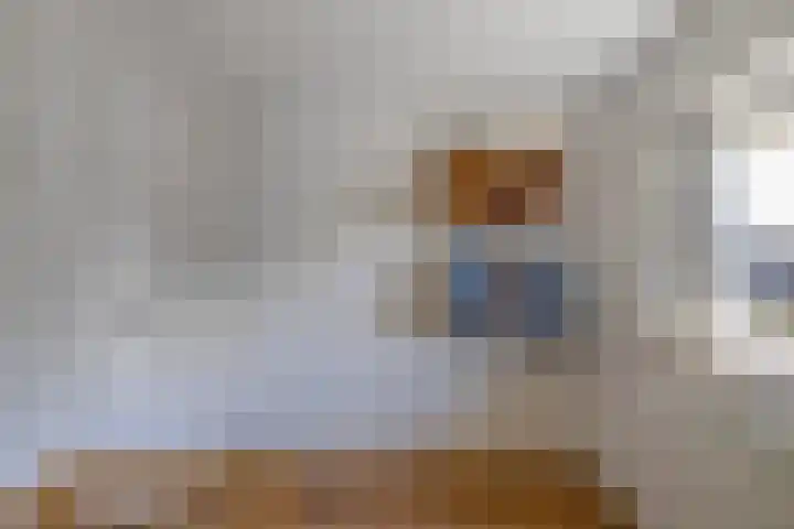 Kortenaerstraat 10 Huizen thumbnail 20