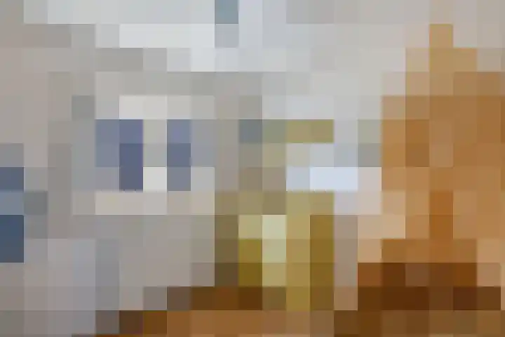 Kortenaerstraat 10 Huizen thumbnail 21