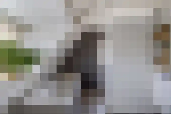 Kortenaerstraat 10 Huizen thumbnail 22