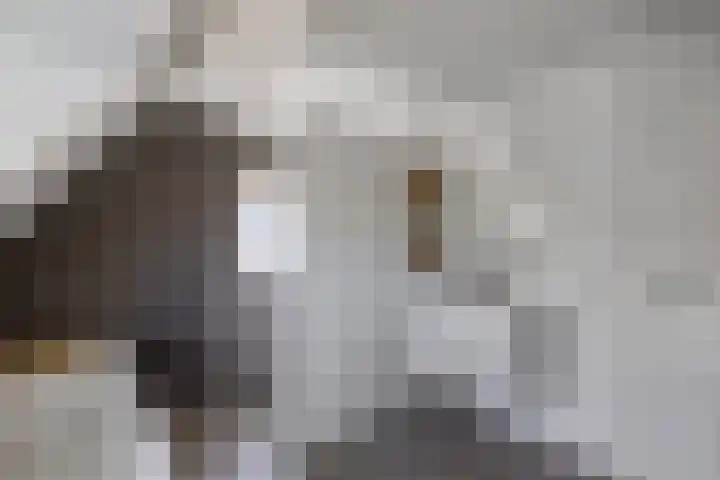Kortenaerstraat 10 Huizen thumbnail 23