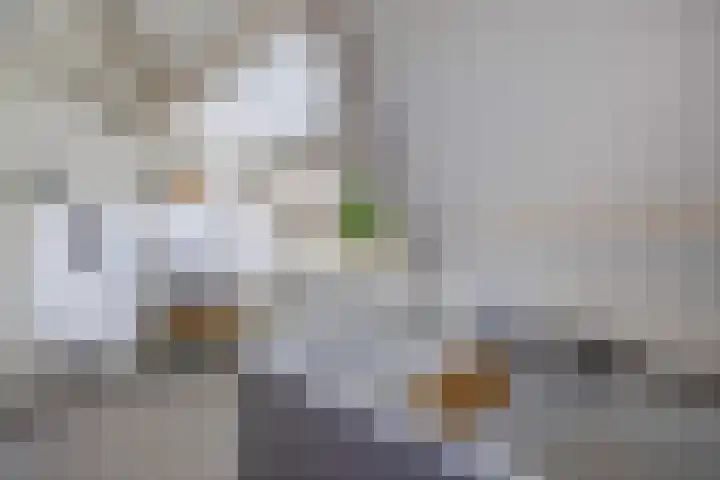 Kortenaerstraat 10 Huizen thumbnail 25