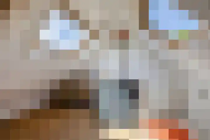 Kortenaerstraat 10 Huizen thumbnail 28