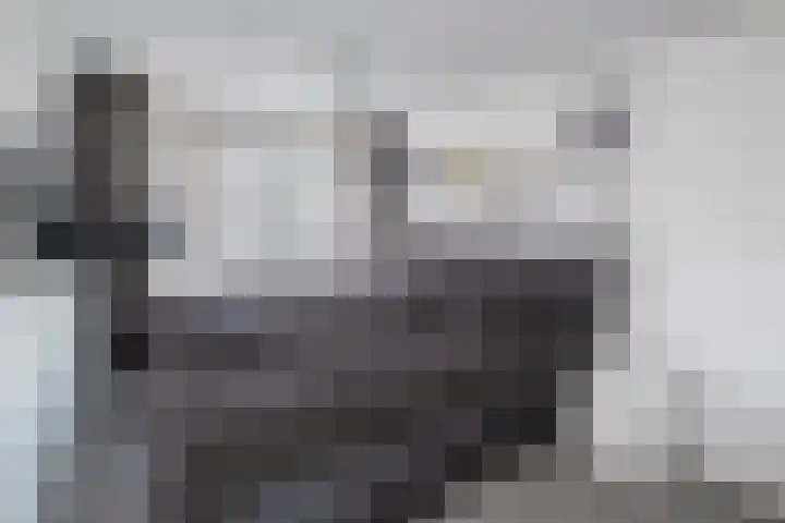 Kortenaerstraat 10 Zwolle thumbnail 14