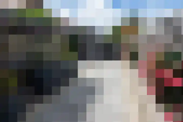 Kortenaerstraat 10 Zwolle thumbnail 26