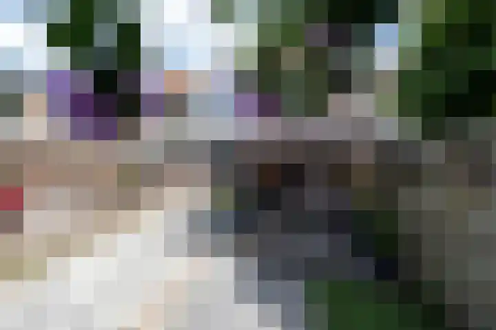 Kortenaerstraat 10 Zwolle thumbnail 31