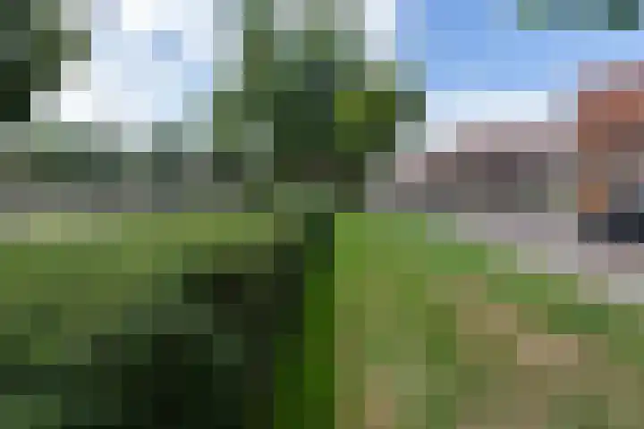 Kortenaerstraat 10 Zwolle thumbnail 33
