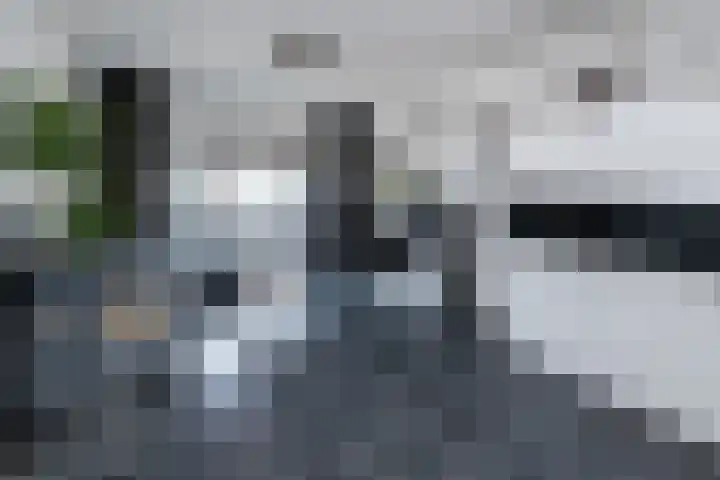 Kortenaerstraat 10 Zwolle thumbnail 4