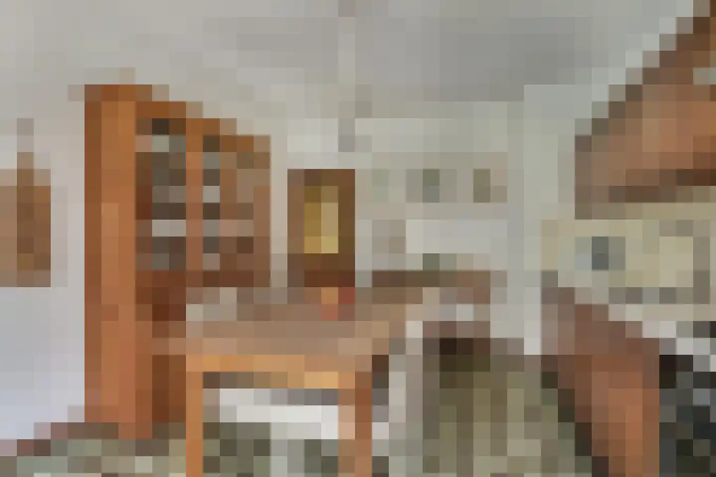 Kortenaerstraat 11 Schijndel thumbnail 12