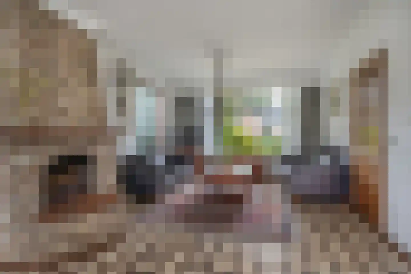 Kortenaerstraat 11 Schijndel thumbnail 5