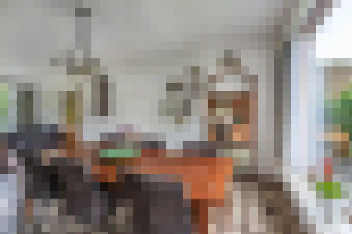 Kortenaerstraat 11 Schijndel thumbnail 8