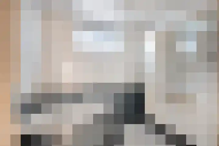 Kortenaerstraat 12 Helmond thumbnail 19