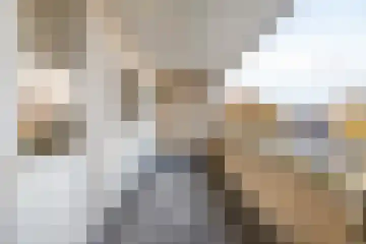 Kortenaerstraat 12 Helmond thumbnail 29