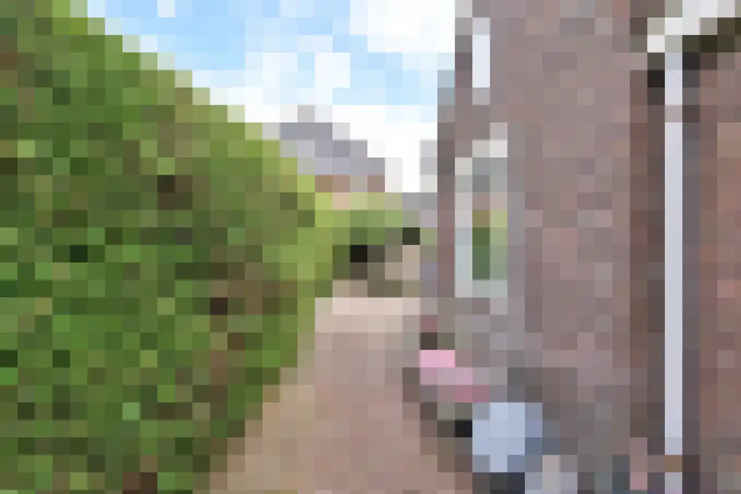 Kortenaerstraat 12 Huizen thumbnail 14