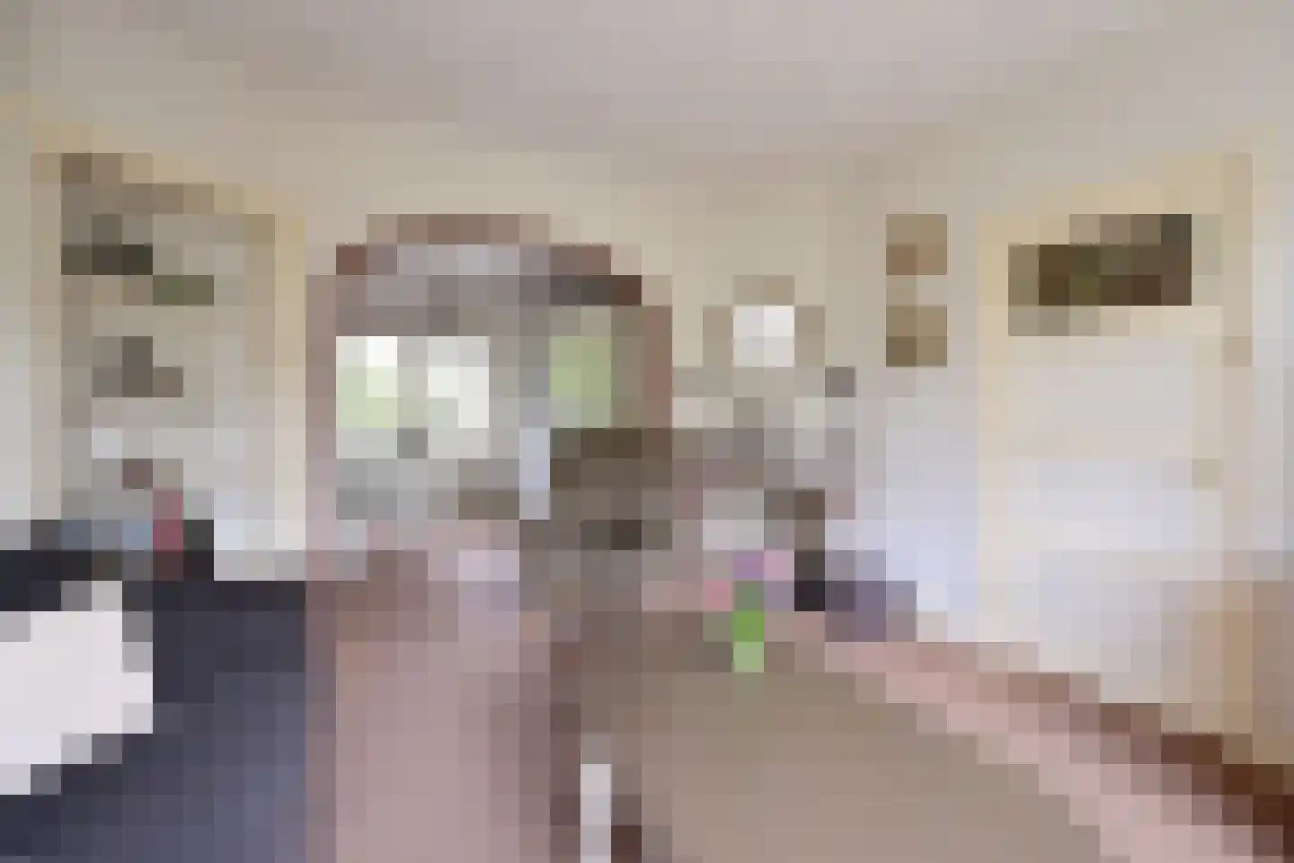 Kortenaerstraat 12 Huizen thumbnail 6