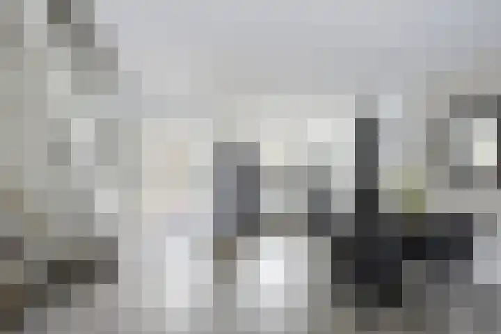 Kortenaerstraat 16 Maasdijk thumbnail 10
