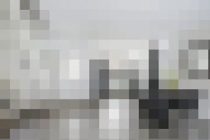 Kortenaerstraat 16 Maasdijk thumbnail 11