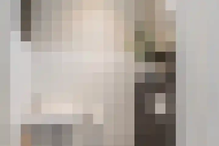 Kortenaerstraat 16 Maasdijk thumbnail 15