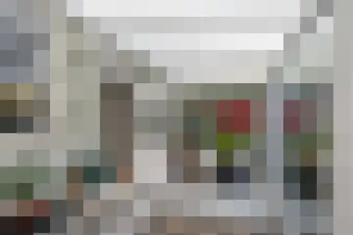 Kortenaerstraat 16 Maasdijk thumbnail 16