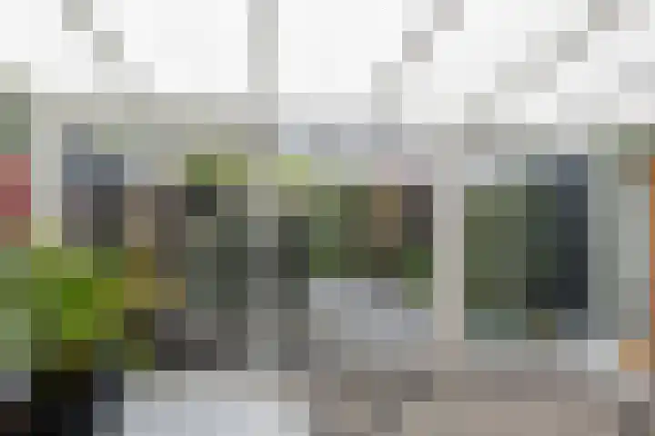Kortenaerstraat 16 Maasdijk thumbnail 17