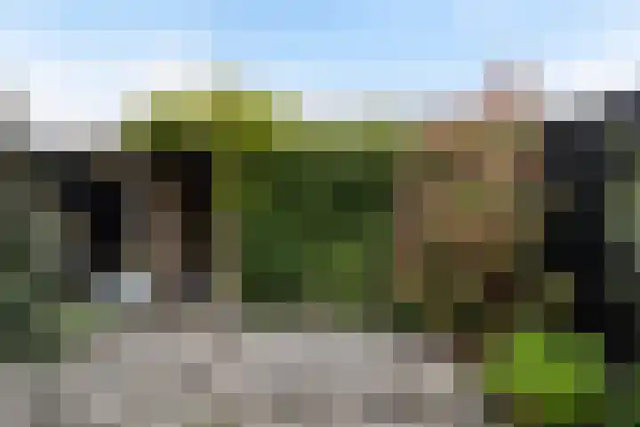 Kortenaerstraat 16 Maasdijk thumbnail 18