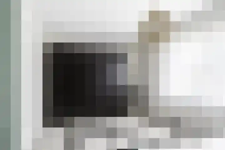 Kortenaerstraat 16 Maasdijk thumbnail 24