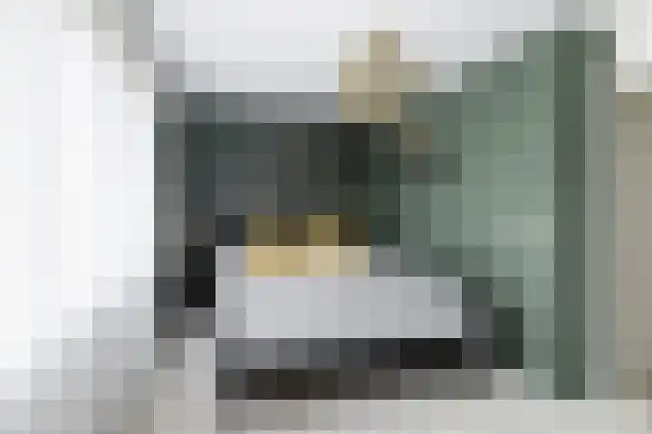 Kortenaerstraat 16 Maasdijk thumbnail 25