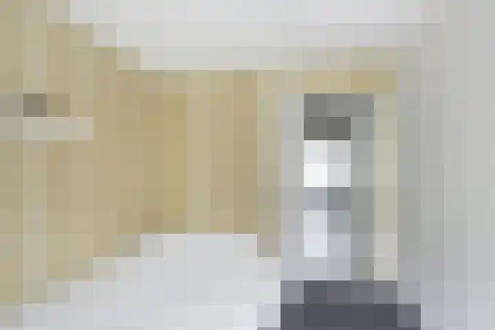 Kortenaerstraat 16 Maasdijk thumbnail 26