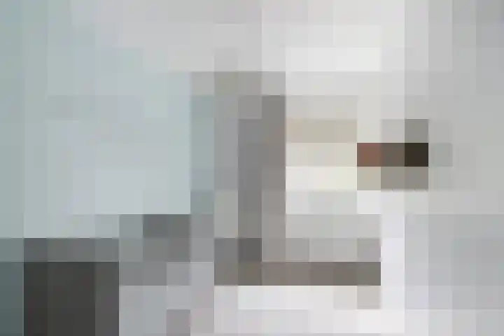Kortenaerstraat 16 Maasdijk thumbnail 29