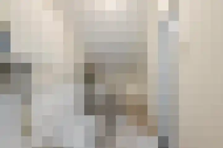 Kortenaerstraat 16 Maasdijk thumbnail 35