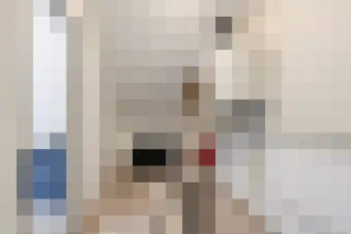 Kortenaerstraat 16 Maasdijk thumbnail 36