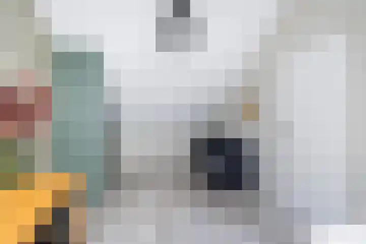 Kortenaerstraat 16 Maasdijk thumbnail 38