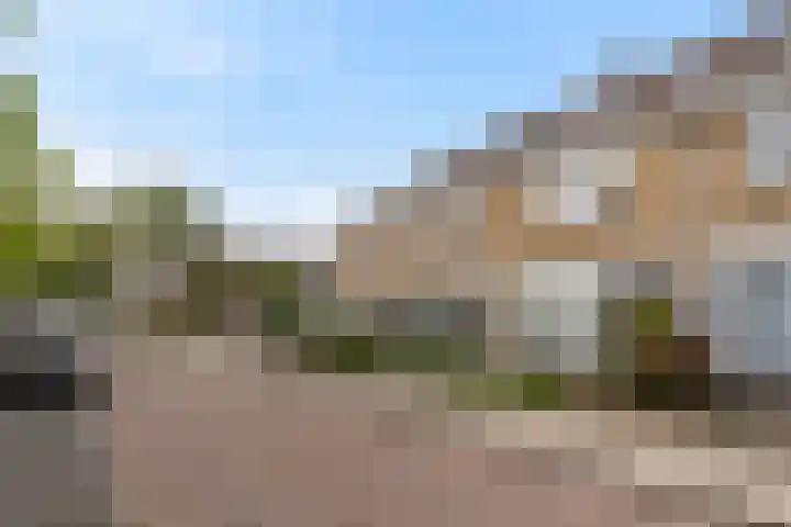 Kortenaerstraat 16 Maasdijk thumbnail 40