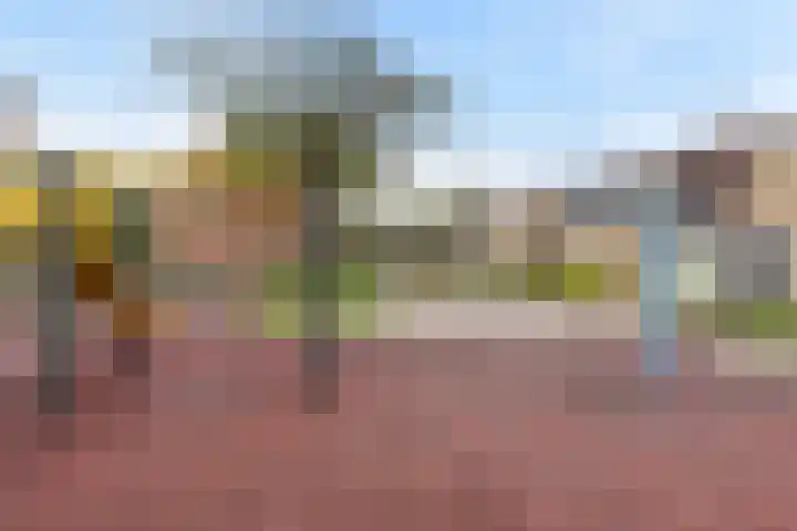 Kortenaerstraat 16 Maasdijk thumbnail 41