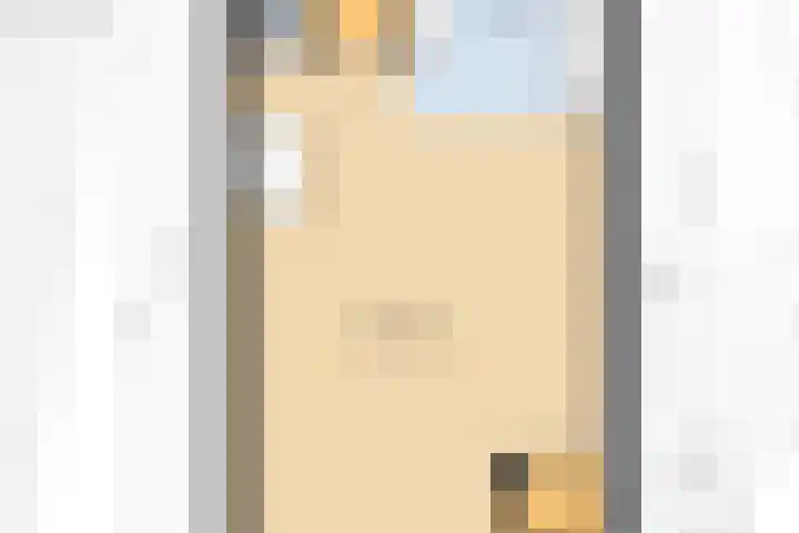 Kortenaerstraat 16 Maasdijk thumbnail 43