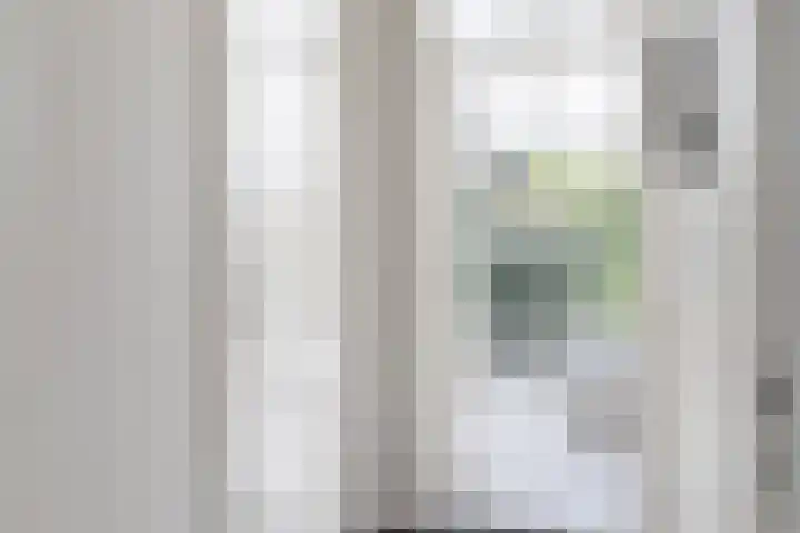 Kortenaerstraat 16 Maasdijk thumbnail 6