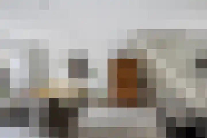 Kortenaerstraat 16 Maasdijk thumbnail 8