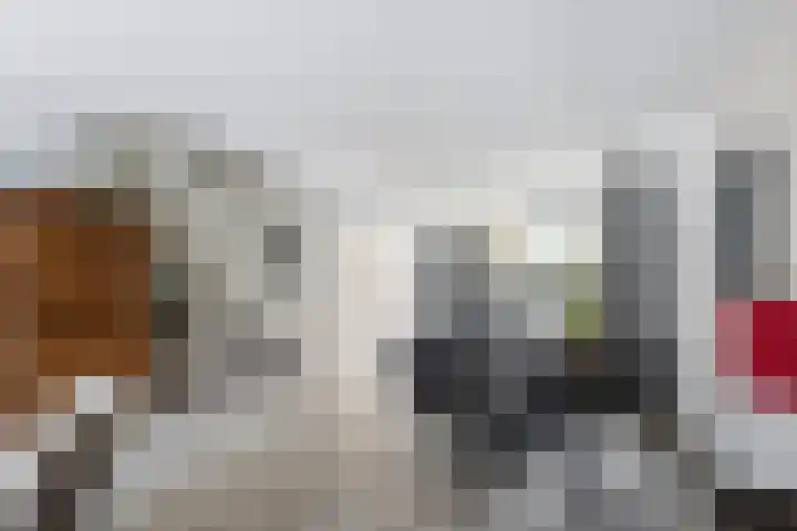 Kortenaerstraat 16 Maasdijk thumbnail 9