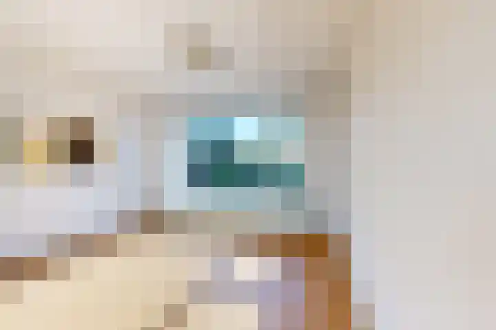 Kortenaerstraat 18 Dinteloord thumbnail 12